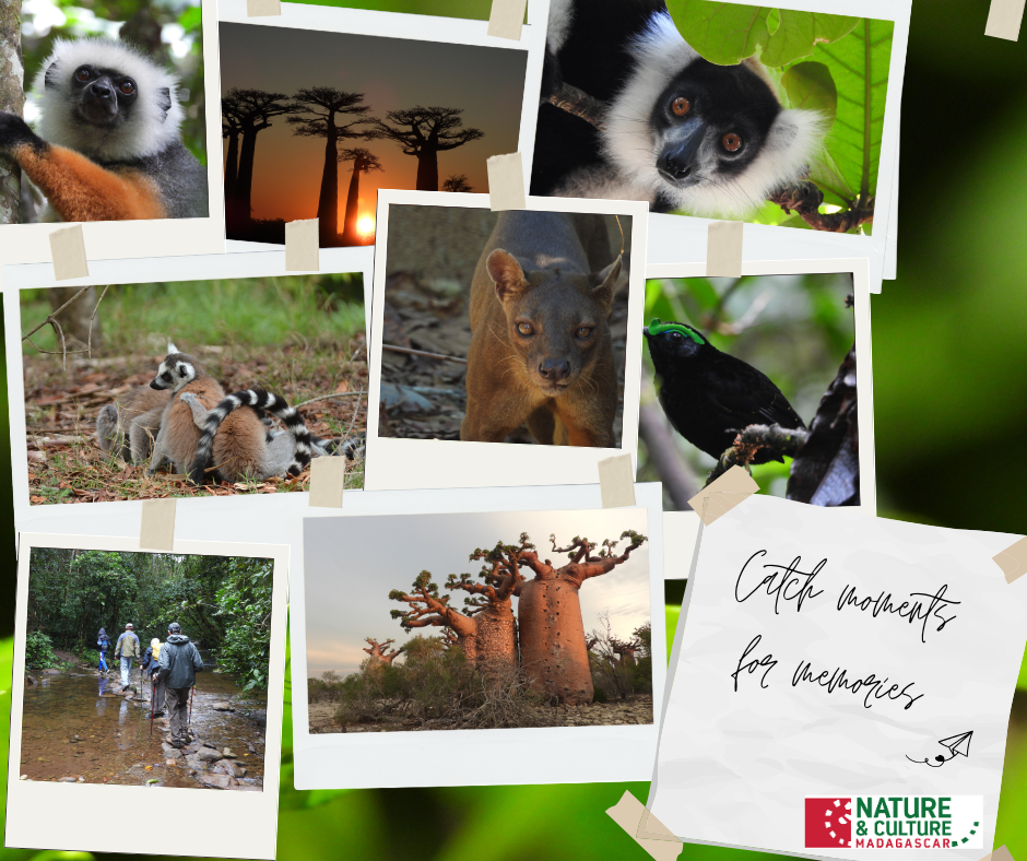 Image of 🌴 Best Time to Visit Madagascar: Seasons, Weather & Travel Tips