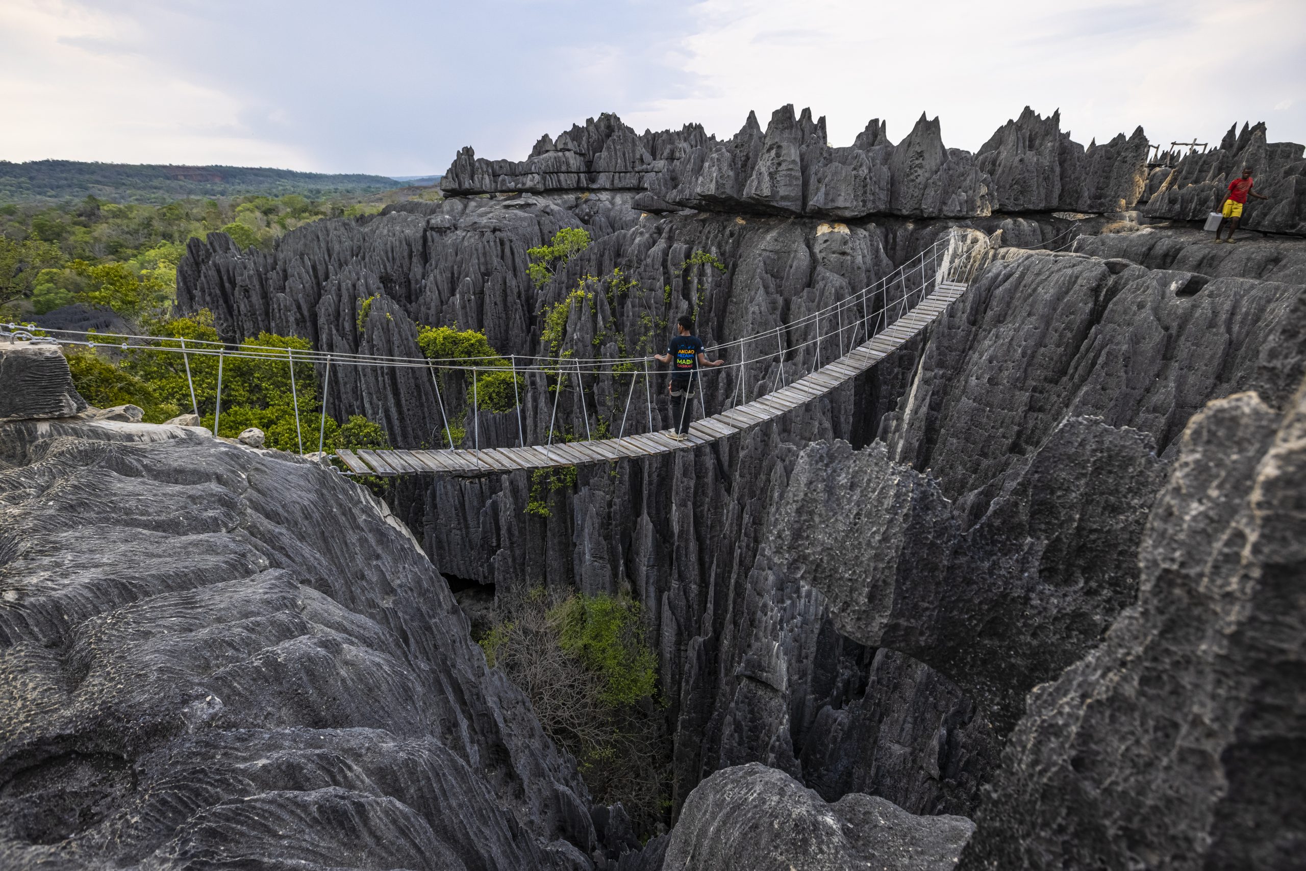 Image of Der Nationalpark BEMARAHA